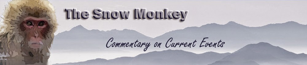 The Snow Monkey