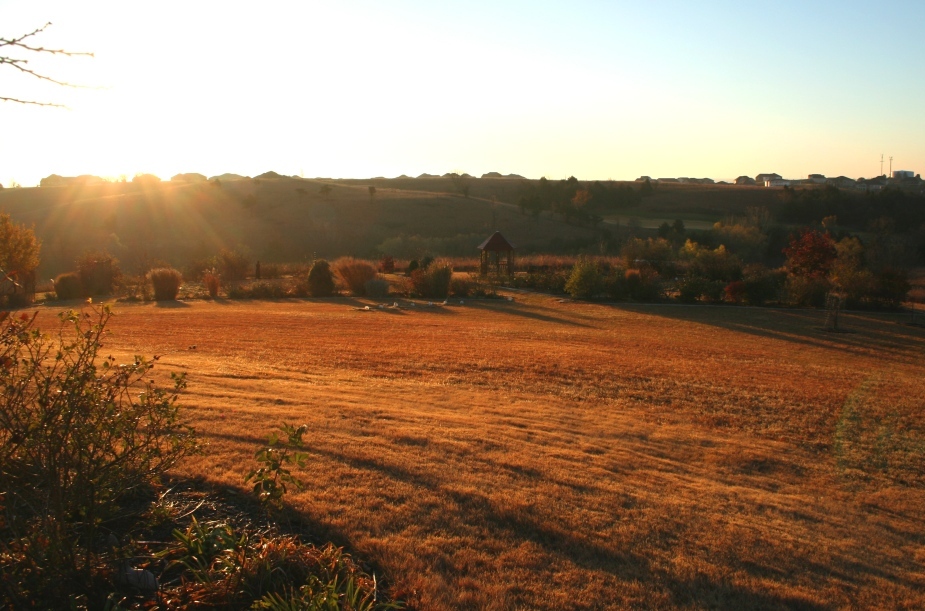 [Obrazek: Roush+South+Garden+Sunrise+111410+015b.jpg]