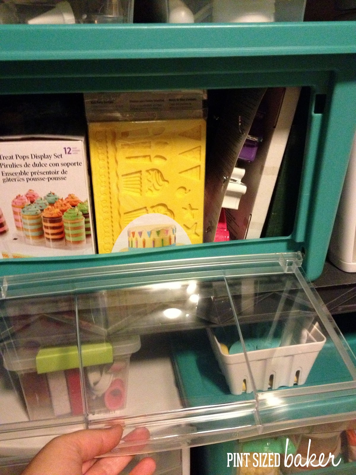 Rubbermaid All Access Organizers and Finding Buried Treasures - Pint