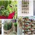 A balcony of aromatic plants