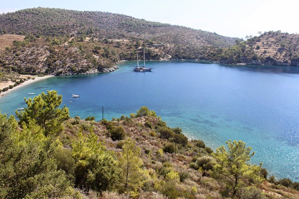 Mazi Koyu Bodrum 2014