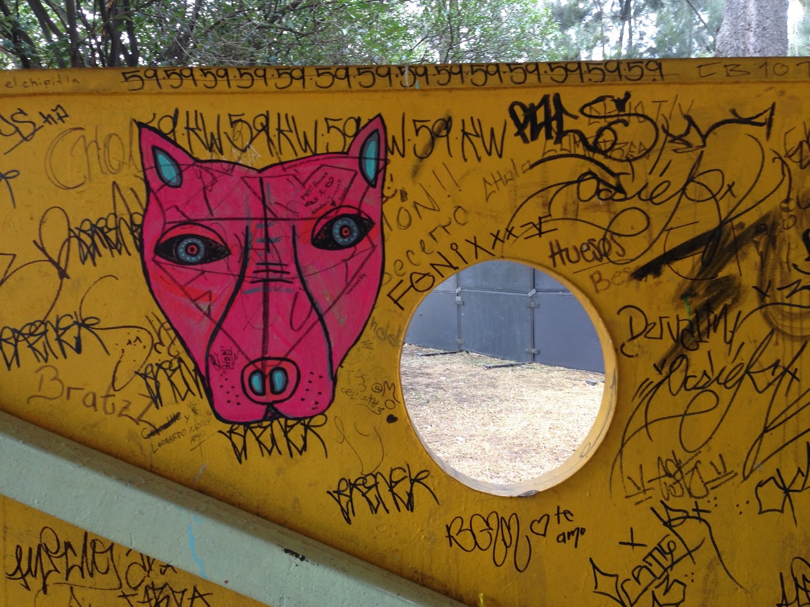 Braille Lts Graffiti Crew