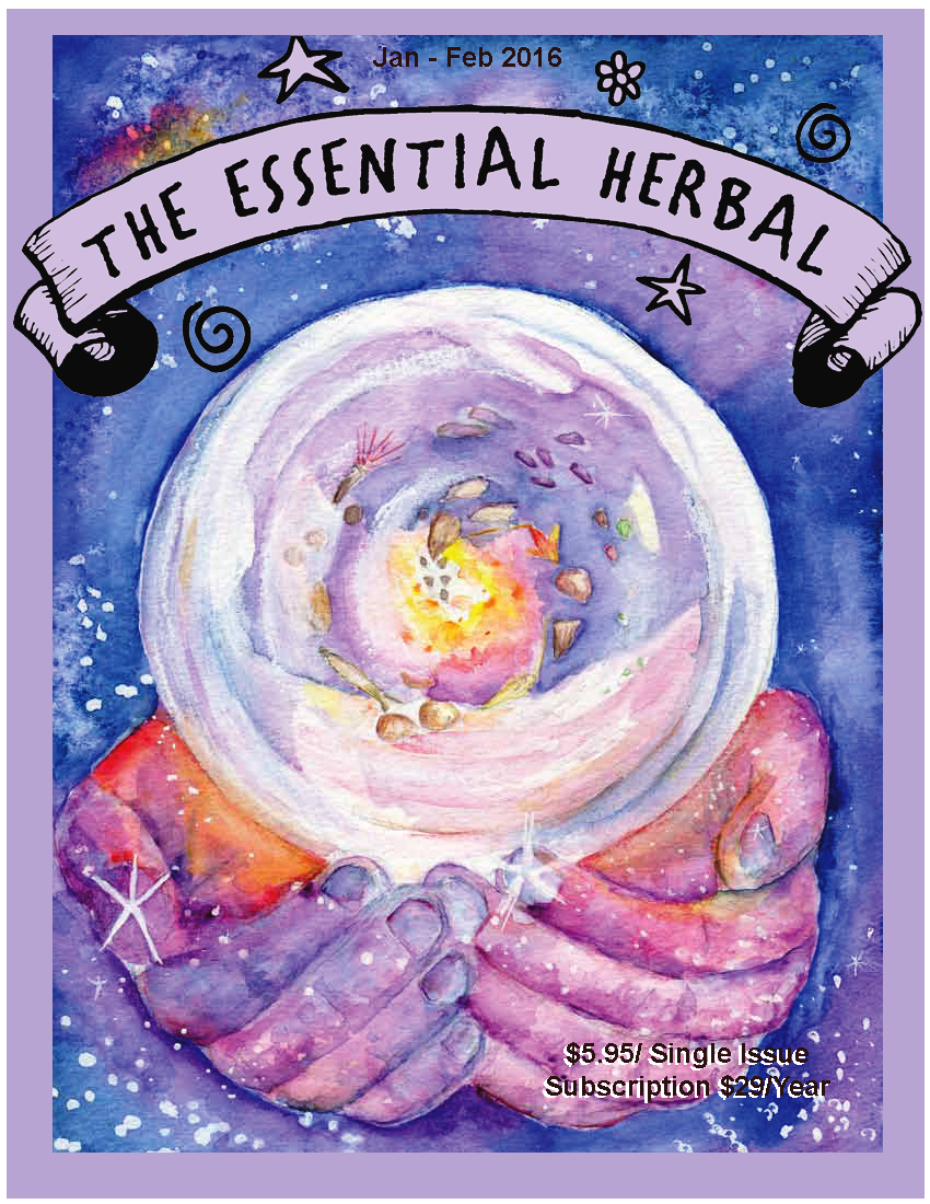 The Essential Herbal Blog Jan/Feb 2016 Essential Herbal cover and toc
