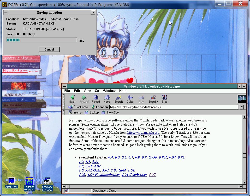 dosbox windows 3.1 download dosbox windows 3.1 download