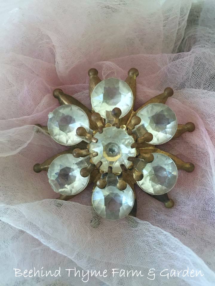 Beehind Thyme Farm & Garden AUTUMN finds & SHOW TIME...