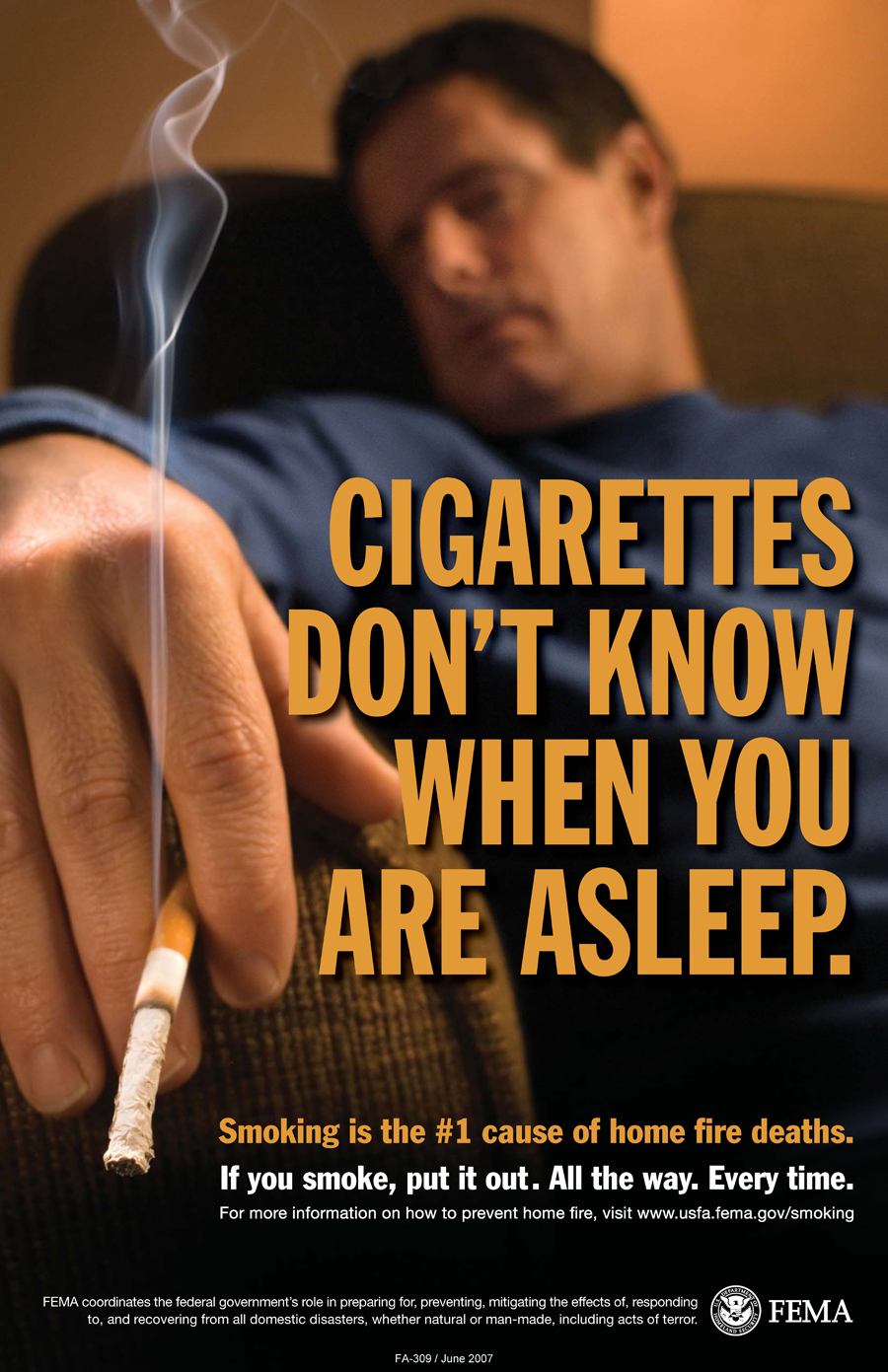 Samantha's Blog PSA Cigarettes Don't Have a Brain