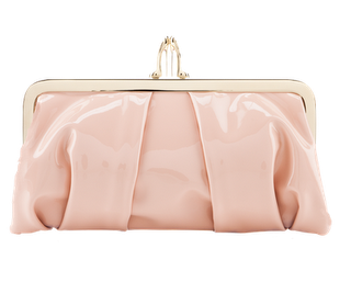 transparent plastic purse