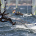 Isaf Sailing World Cup di Hyeres