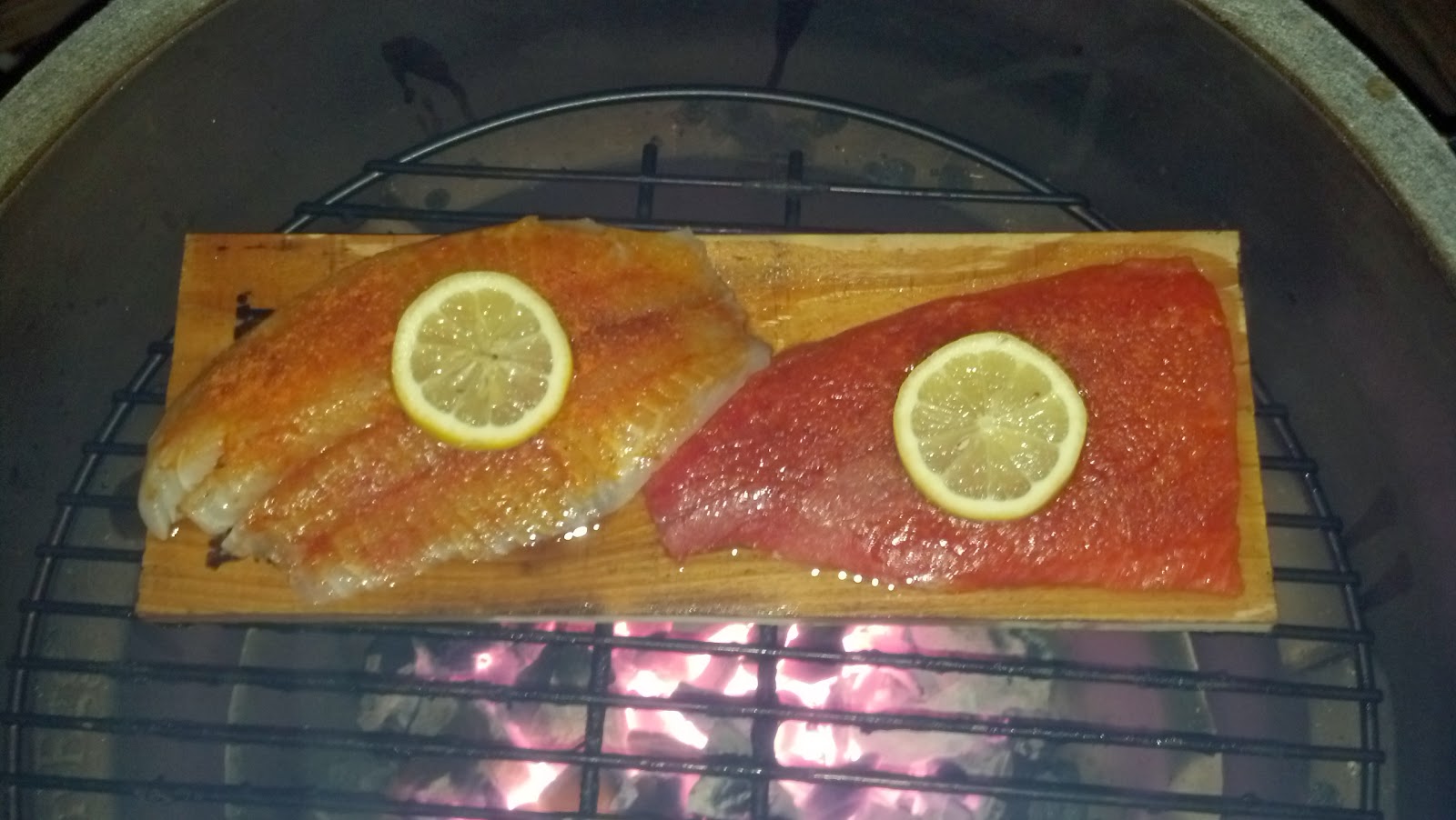 Chris' Big Green Egg Adventure Cedar Plank Salmon & Tilapia