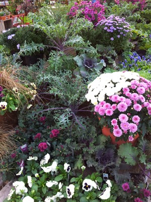 The Benefits Of Trees And Plants For Landscaping And Decor