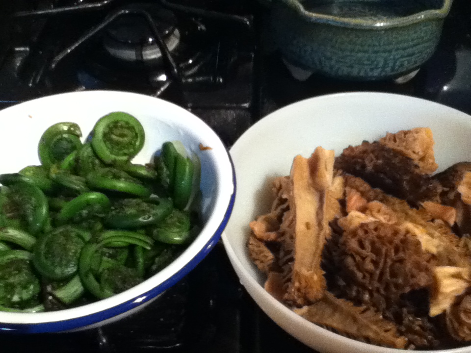 Kūlia cooks! Fiddleheads, Morels and ramps, now that’s Spring!!