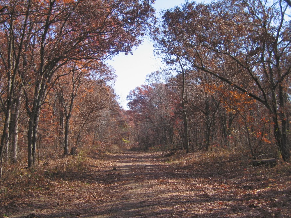 The Lucas Countyan What's in a name Stephens State Forest