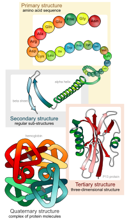 download free primary structure of protein download free primary structure of protein