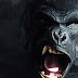The Flash | Grood está de volta. Macaco da pesada volta a Central City!