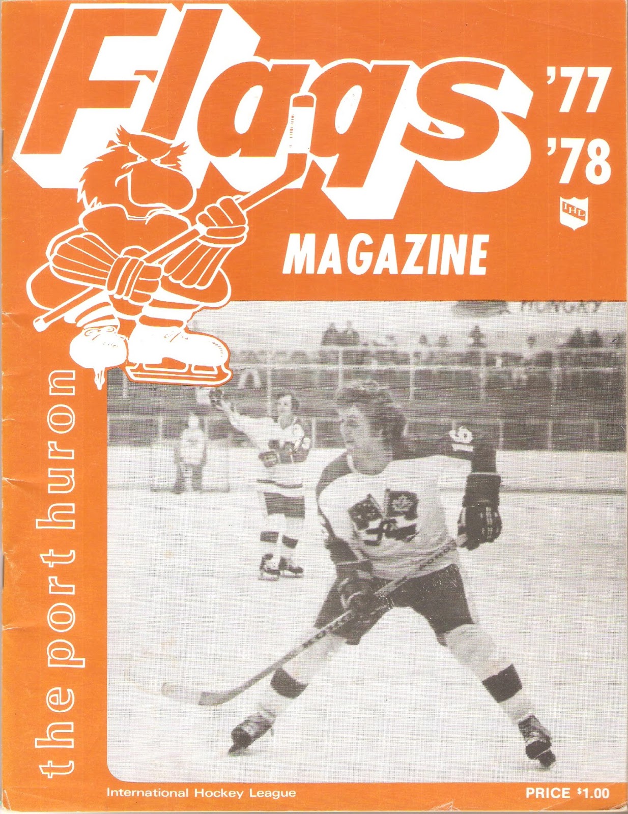 hockey programs port huron