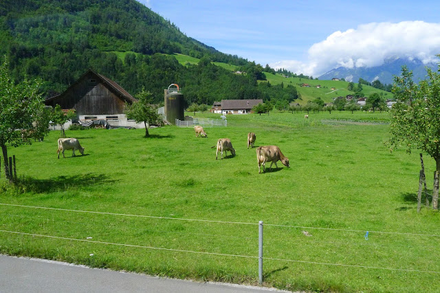 P1010233 Jalan-Jalan Terus: Swiss, I'm in Love!