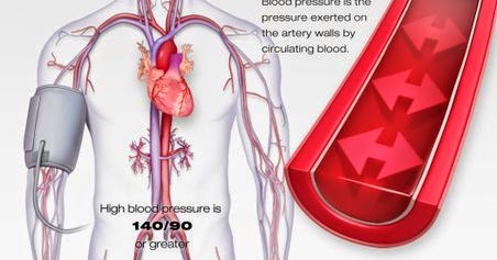 Neemnet: HIGH BLOOD PRESSURE (HOME REMEDY) diagram student body labels 