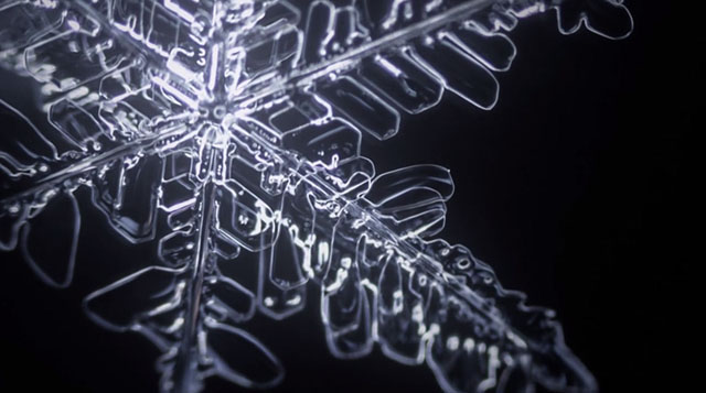 Testigos del nacimiento de un copo de nieve