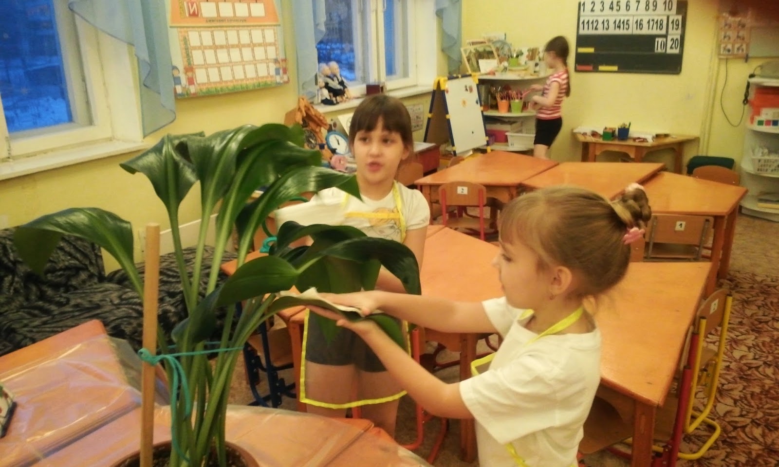 Картинки дежурим в уголке природы Картинки дежурим в уголке природы
