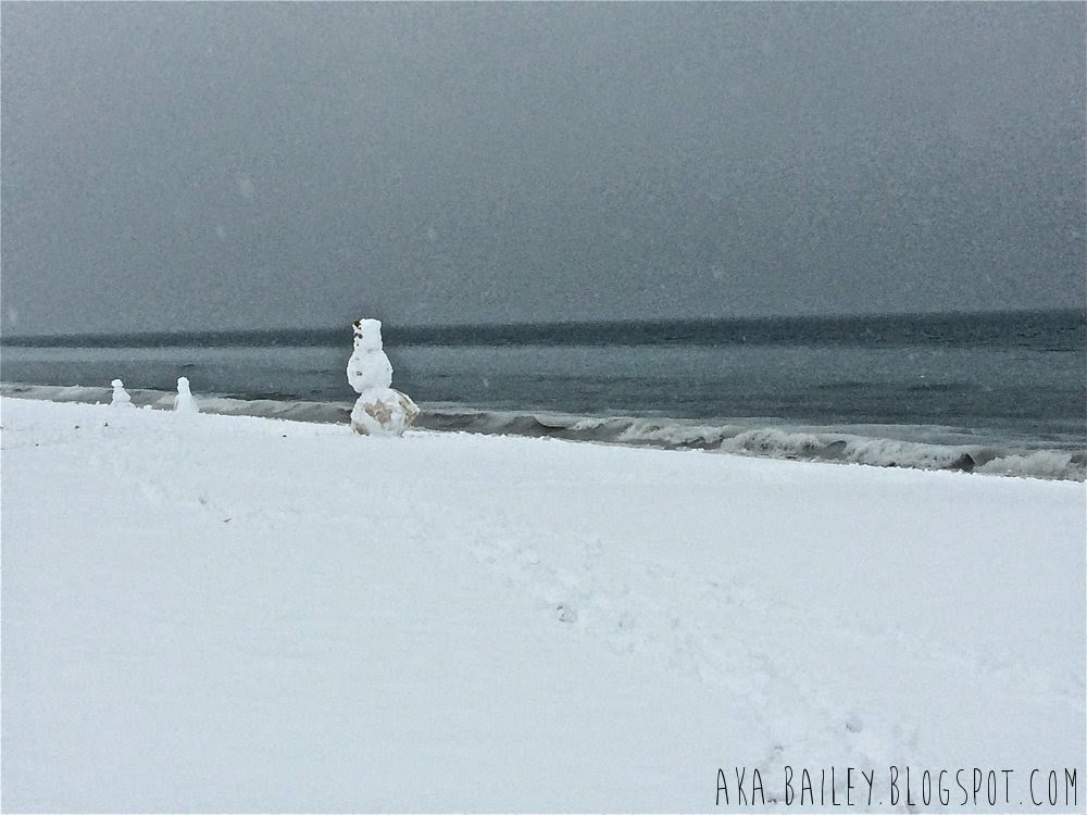 Snowmen on Revere Beach in January 2015