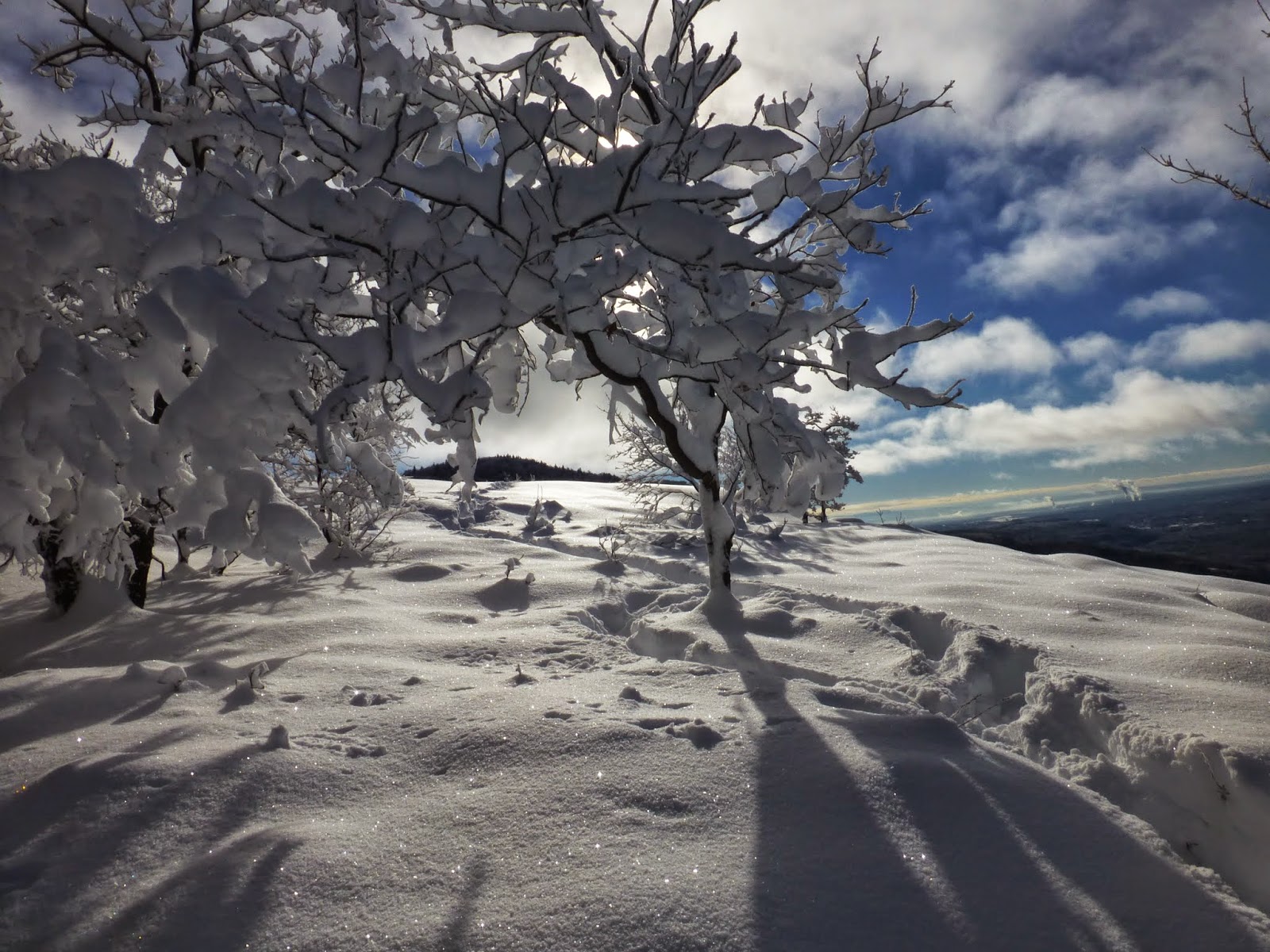 Off on Adventure Pilot Knob Mountain Lake Wild Forest 12/13/14