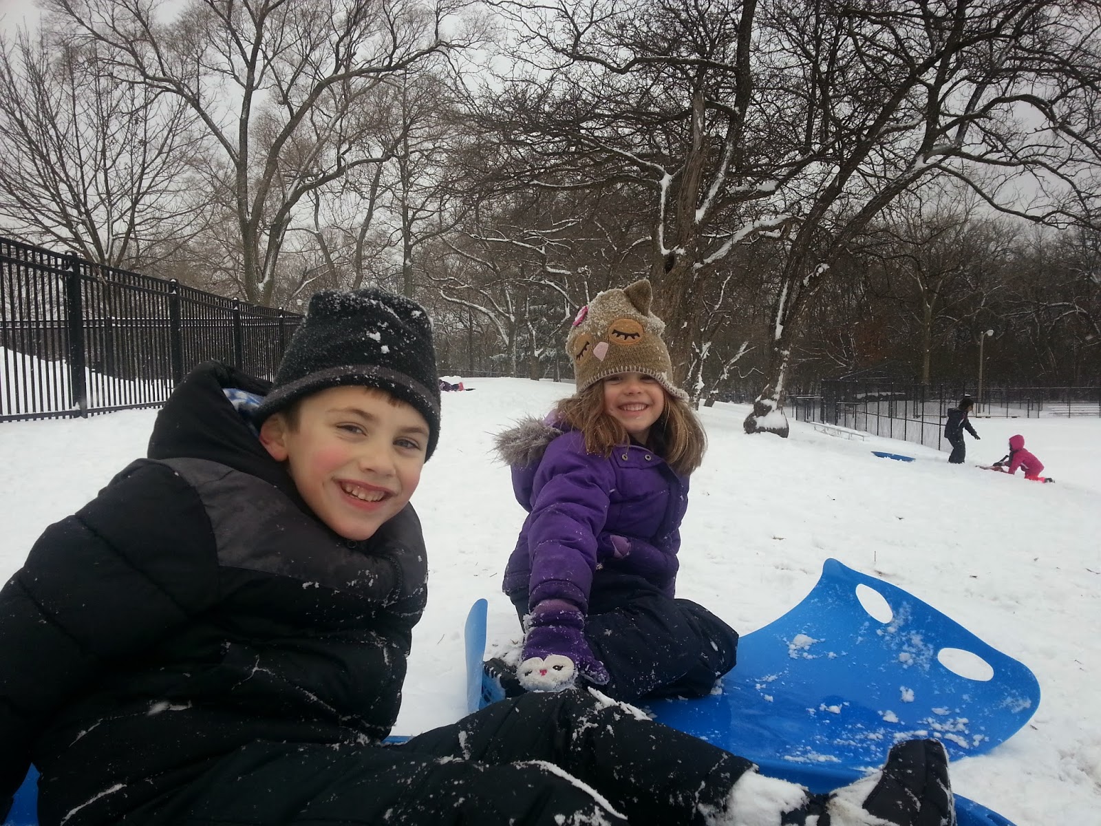 The Chicago Real Estate Local Sledding at Gompers Park, house sales