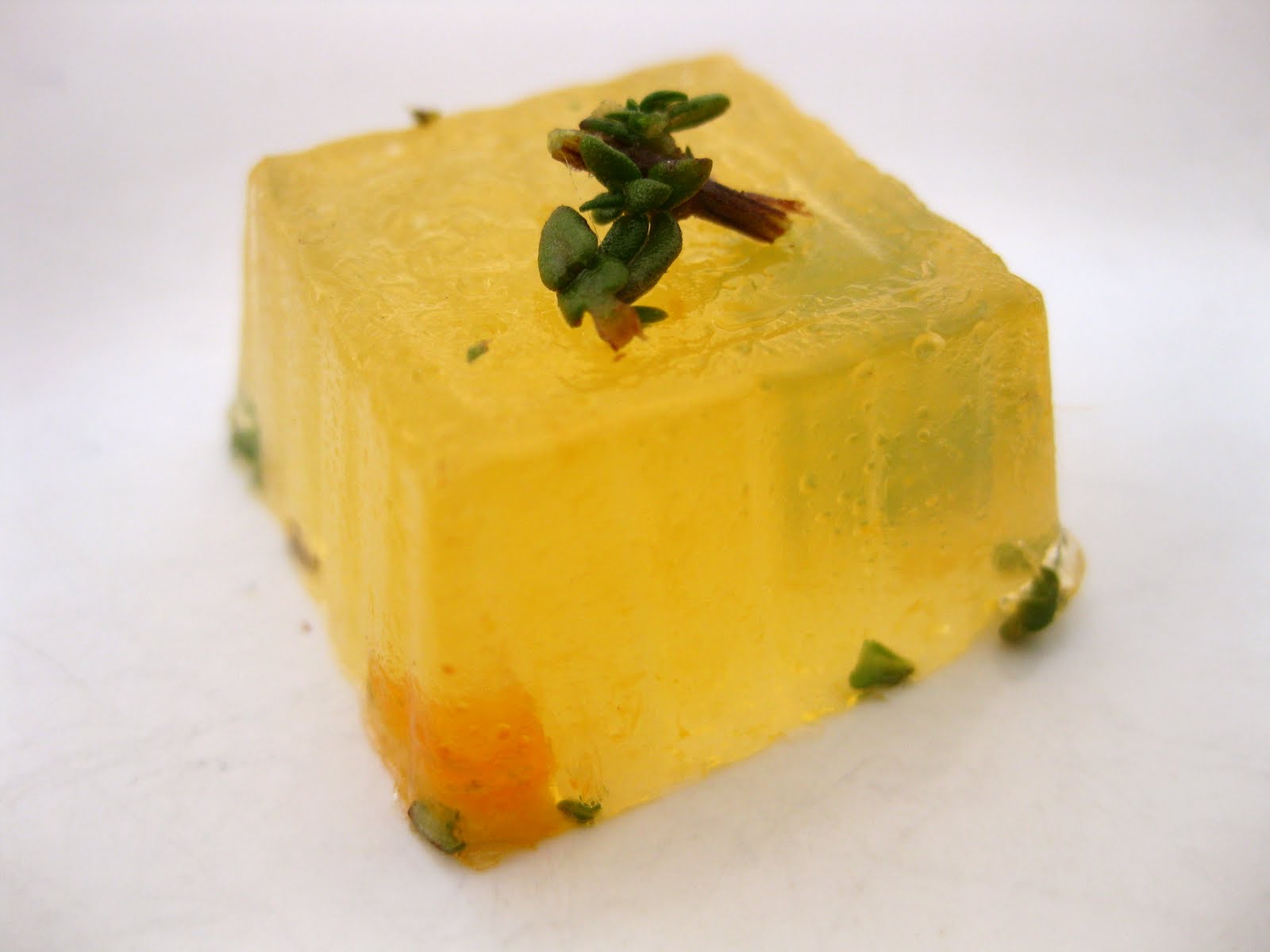 My Jello Americans ClemenThyme