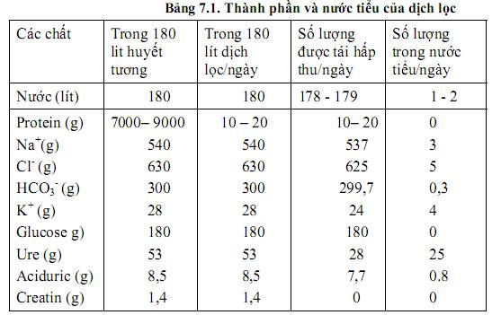 Thành phần nước tiểu