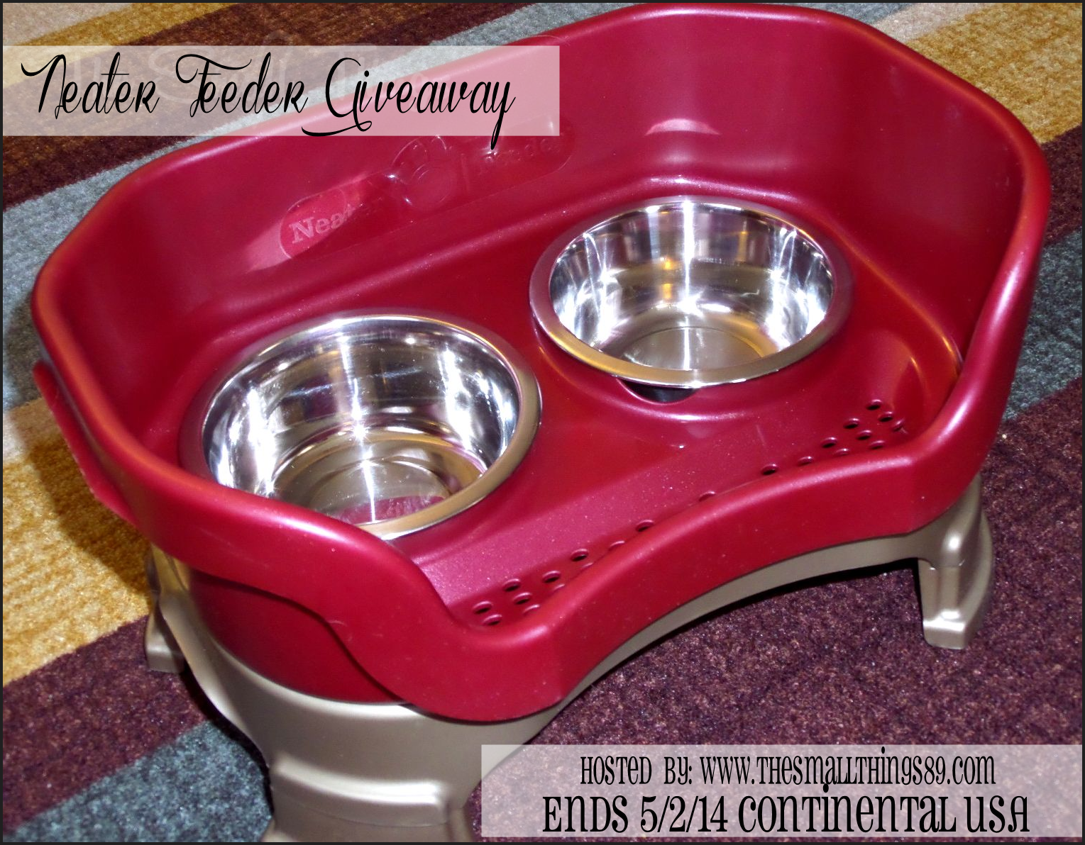 Keep your floors cleaner with the Neater Feeder! Review and Giveaway