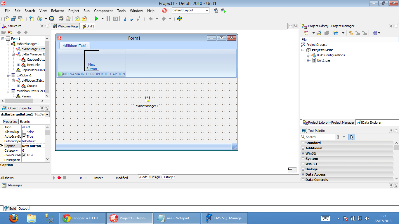 download delphi programmer download delphi programmer
