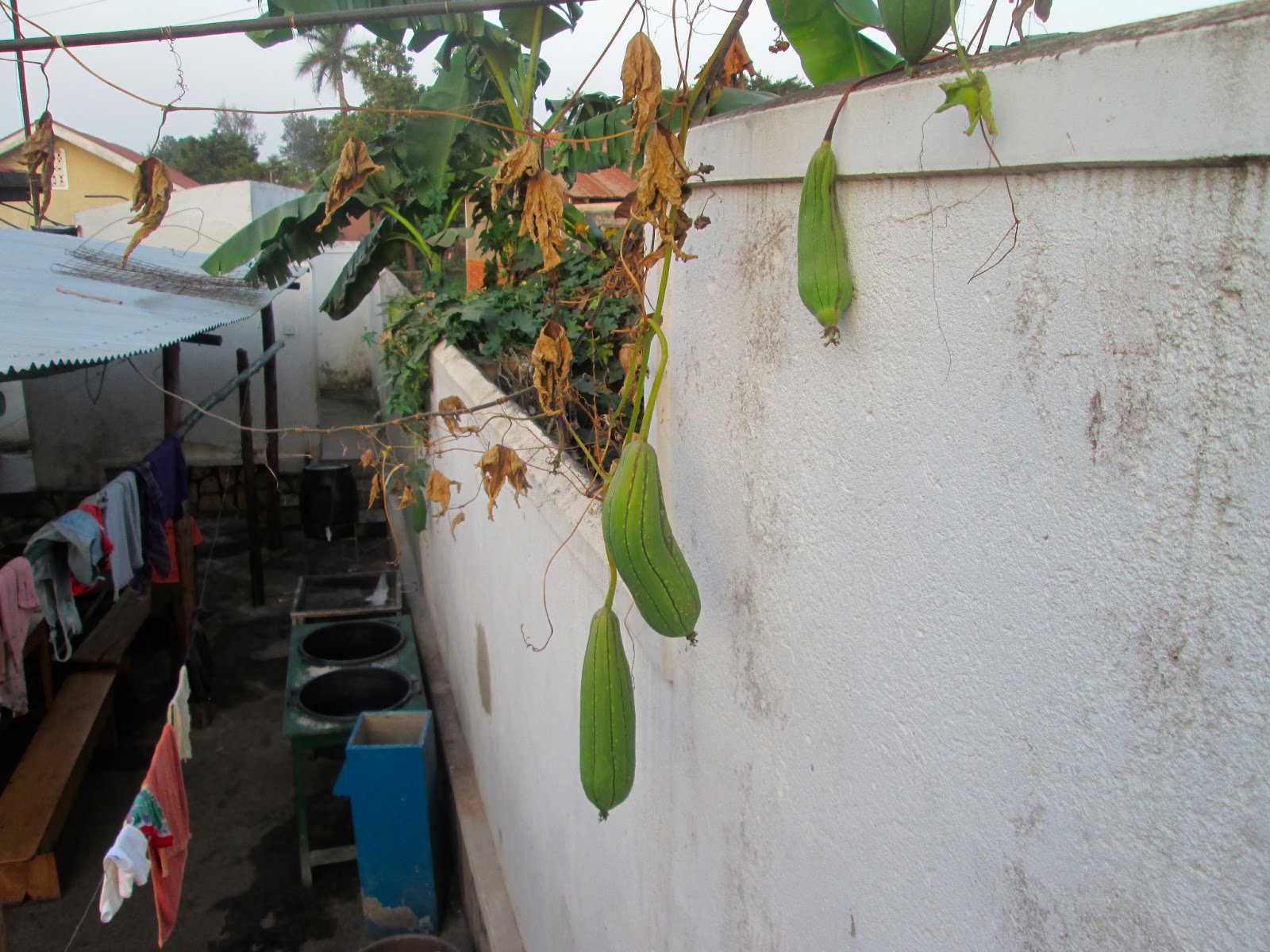 The Next Step Unique Ugandan Treats