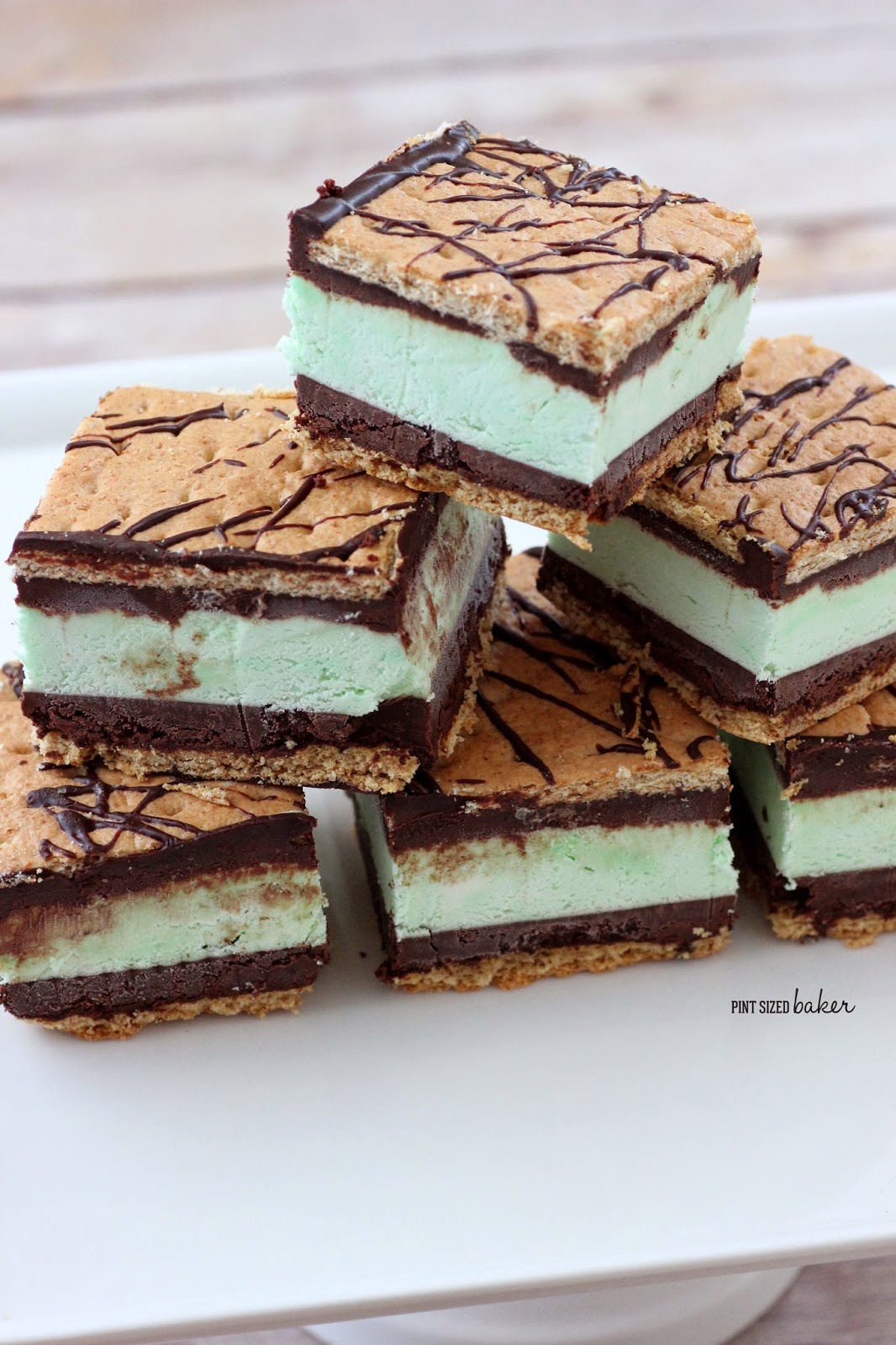 Mint Chocolate Ice Cream Sandwiches 4 1+ps+Mint+Ice+Cream+Sandwiches+(6)