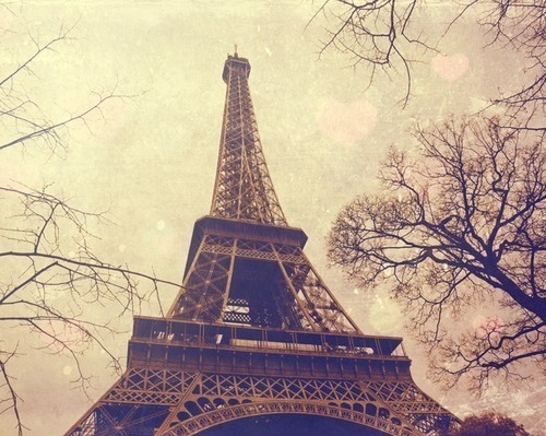 Paris Eiffel Tower Tum...