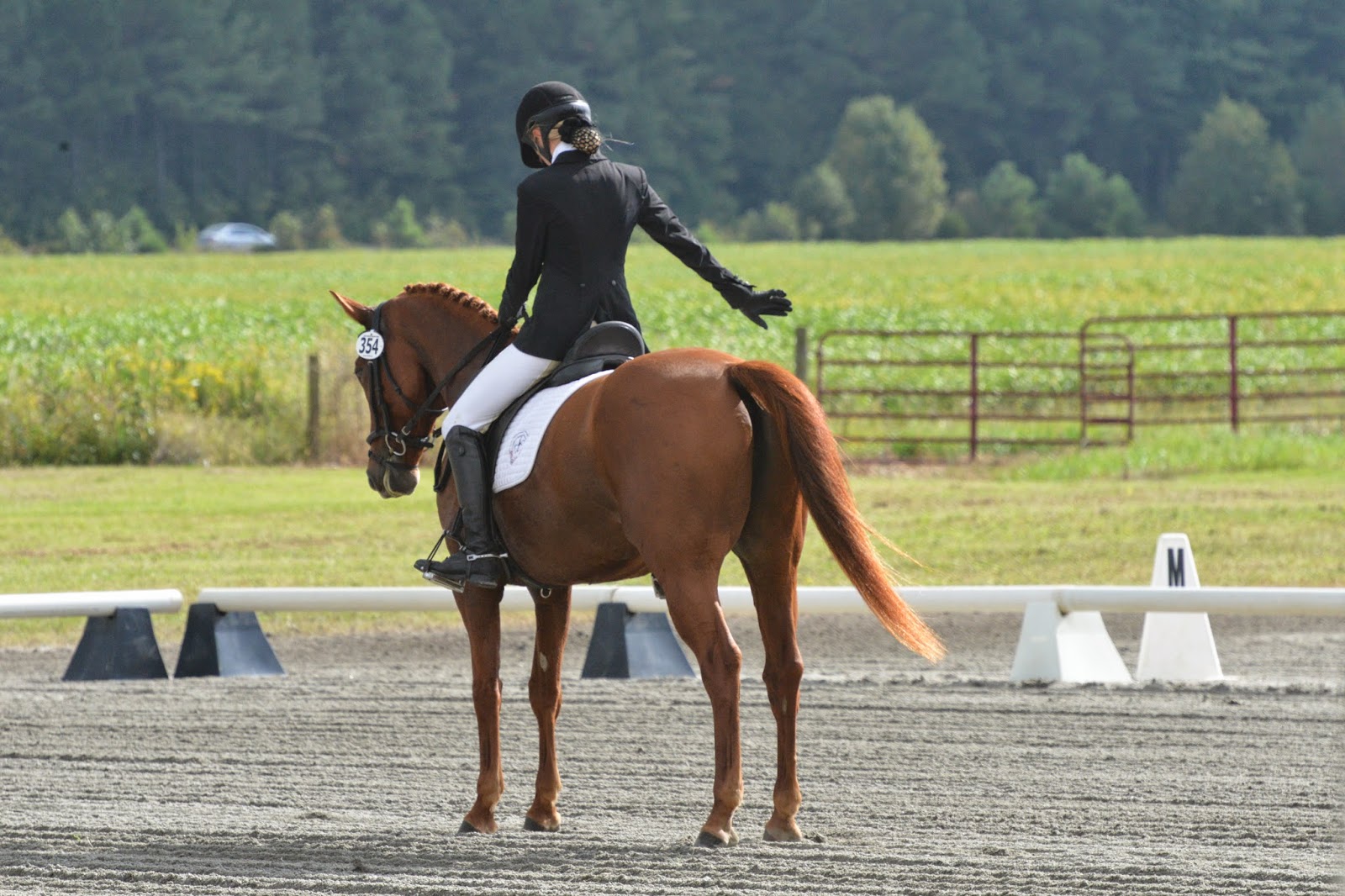 GAIG Region 1 Dressage Championships 2014. Horse Whiskers...