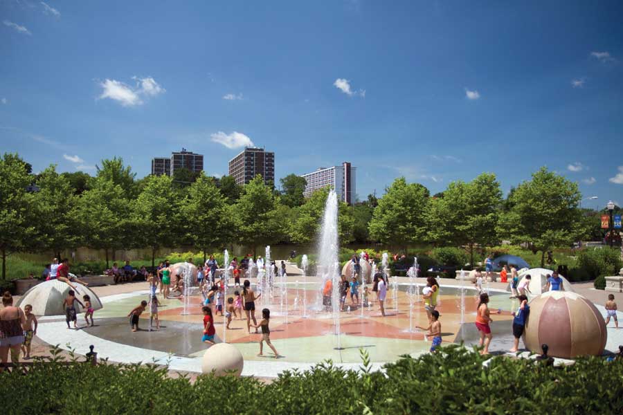 Pit Bull Attacks and Dogfighting in Illinois It is Time, Elgin