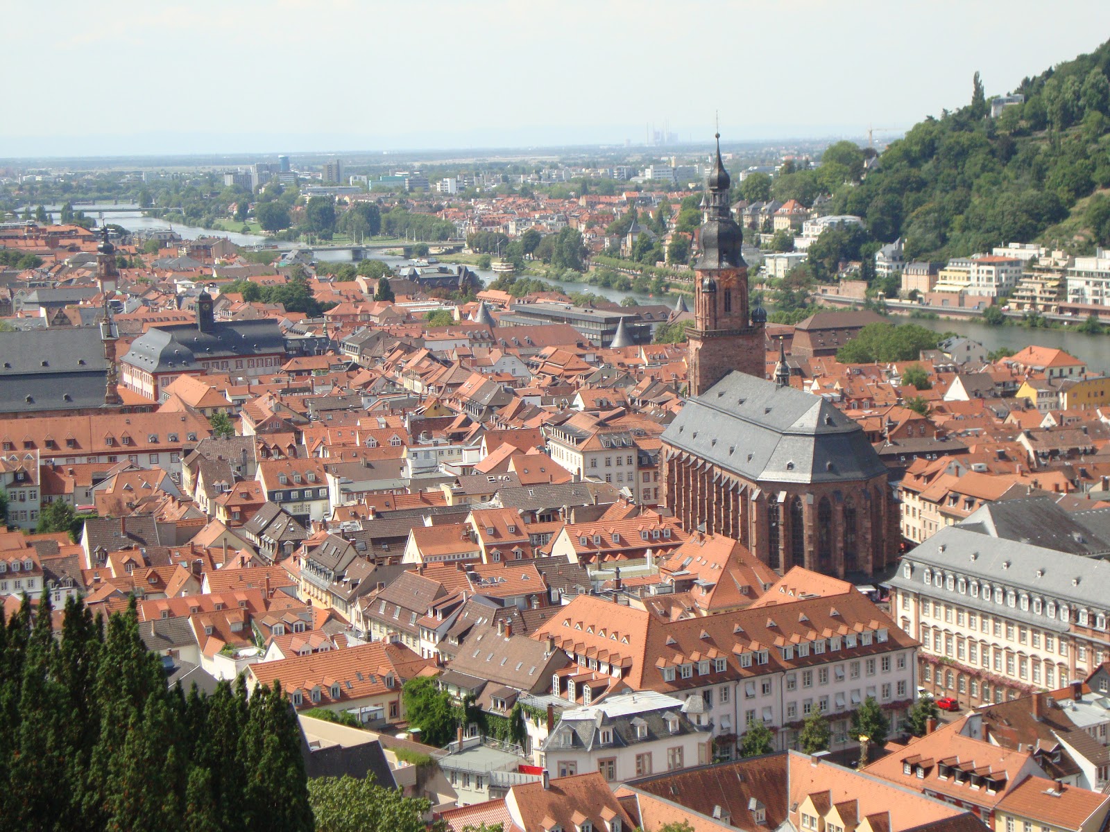 Hands On Review Glashutte Original Senator Chronograph Panorama