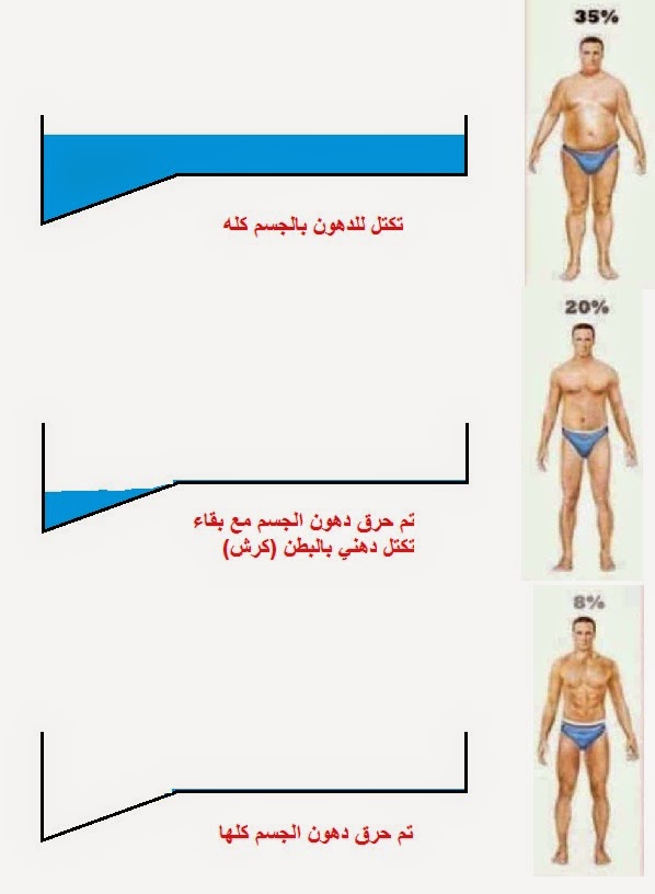 تنشيف الجسم من الدهون والماء الزائد للنساء قسم الرياضة ديامونيستا