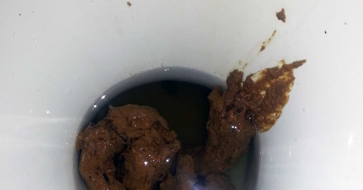 Johanna's pooping blog: The toilet poop