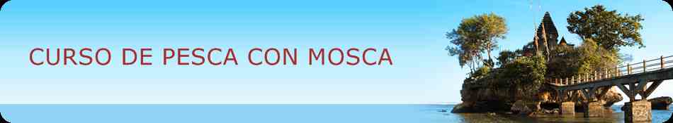 "Curso De Pesca Con Mosca"