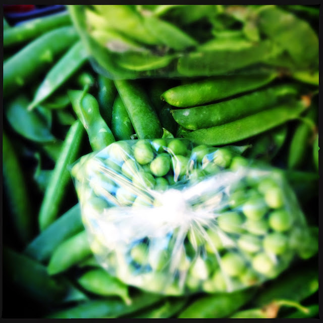 quelle maladie la tomate rencontre elle le plus fréquemment