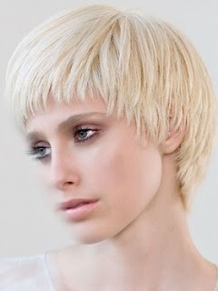Blonde Short Hair Cuts 2012/2013
