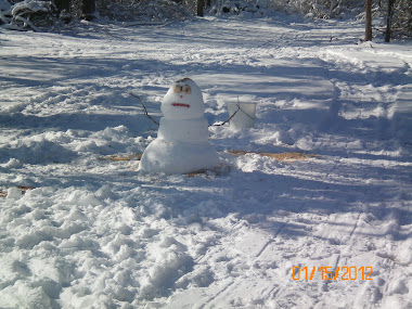 Funny snowman!