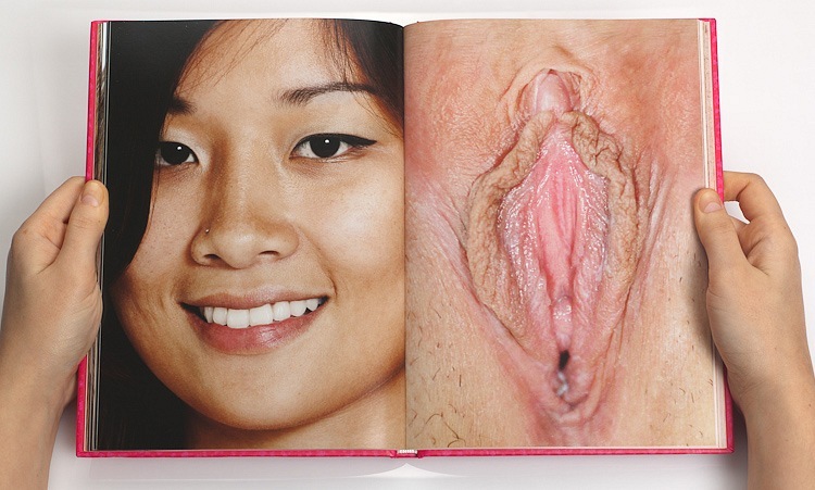 pussy portraits frannie adams of big tits fat teen