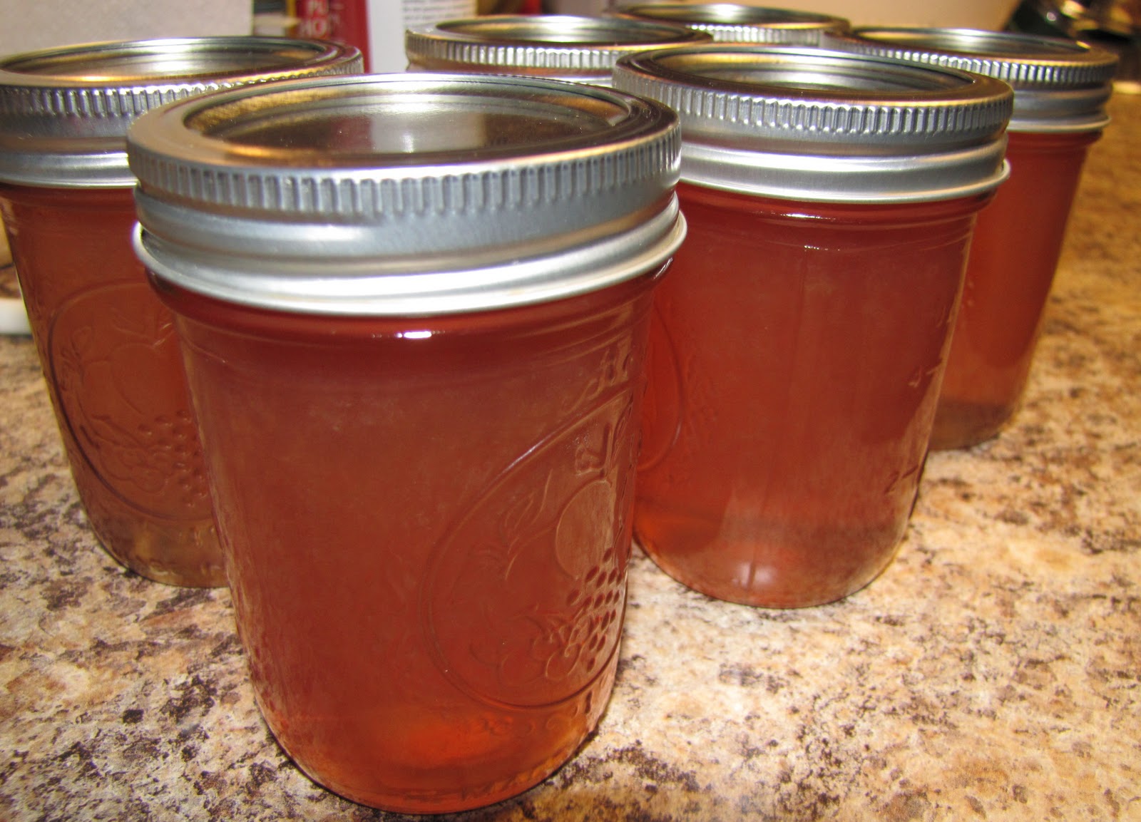 Privileged to Proclaim Muscadine Jelly... my first canning experience!
