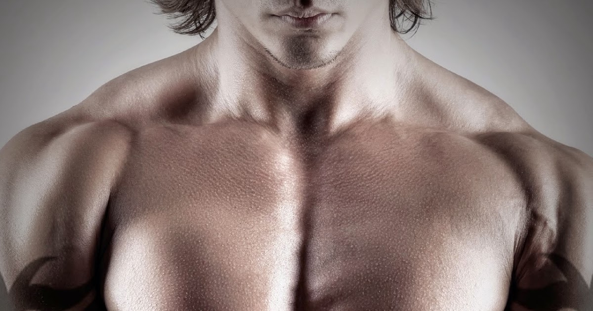 Promo/Excerpt & Giveaway Cash's Fight by Jamie Begley Promo Stand