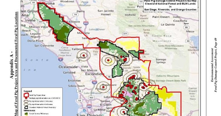 CALIFORNIA HUNTING POST - Wild Boar Hunting in California and Worldwide