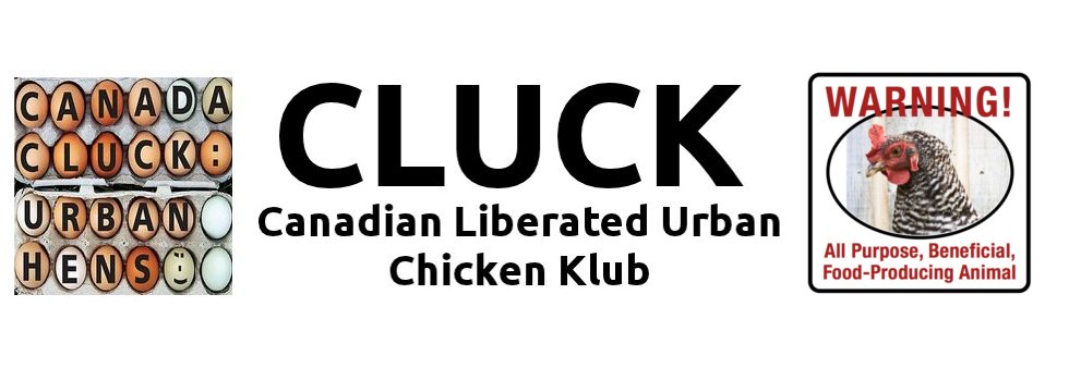 CLUCK