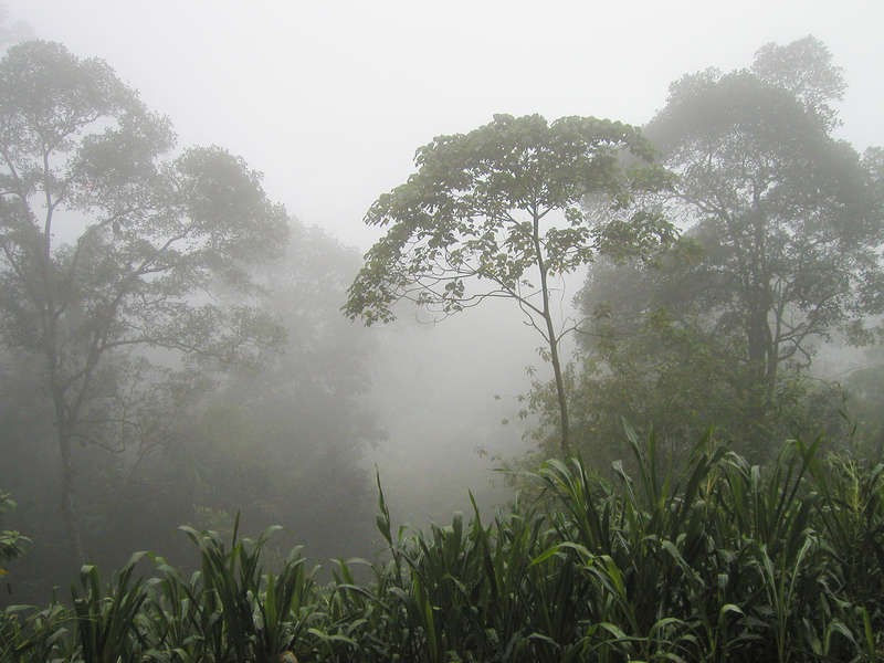 Sri Lanka Climate and Travelling season