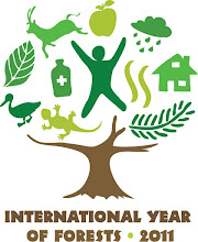 Any Internacional dels Boscos