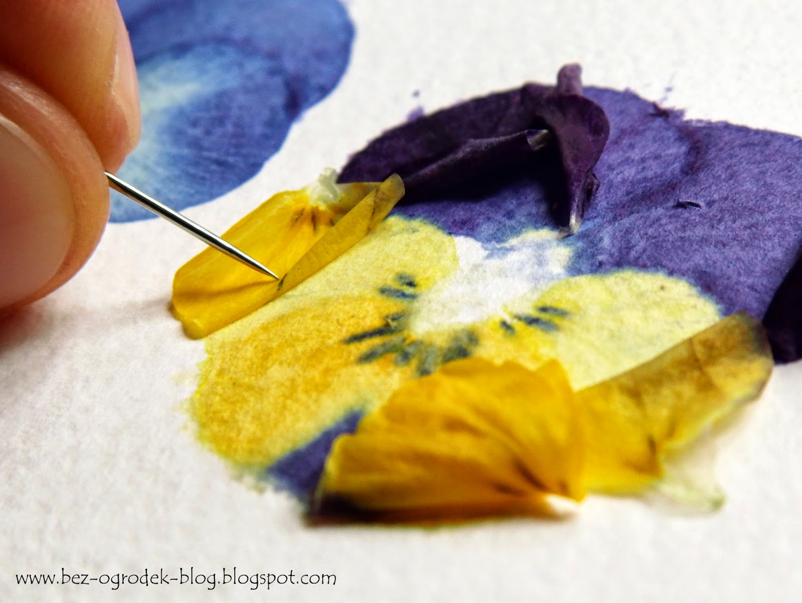 do it yourself painting pansies